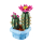 LEGO BOTANICALS 11509 Kwitnący kaktus - 1473413 - zdjęcie 3